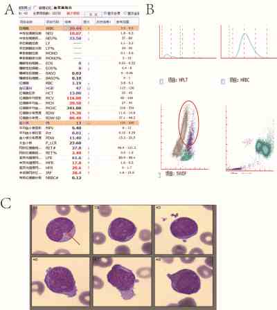 1-1_pro.jpg 1-1_pro.jpg