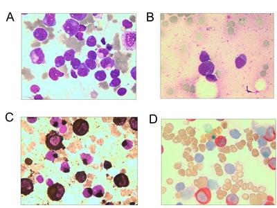 1-2_pro.jpg 1-2_pro.jpg