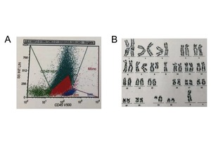 1-3_pro.jpg 1-3_pro.jpg