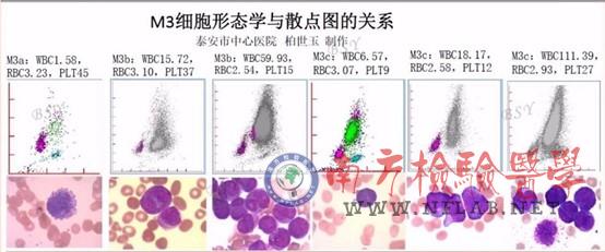 图片3.jpg