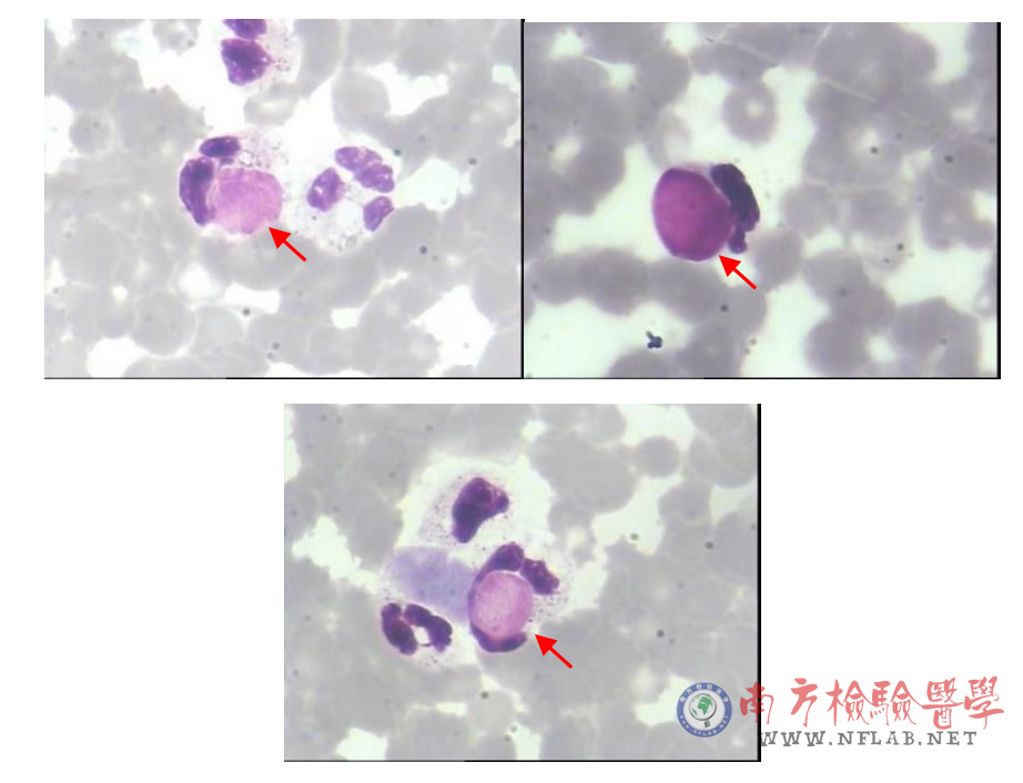 微信图片_20220316102416.png