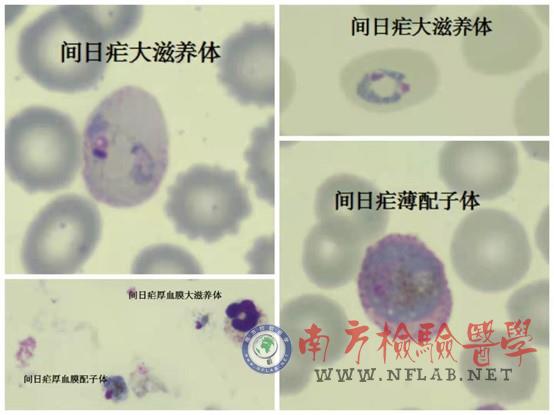 图片9.jpg