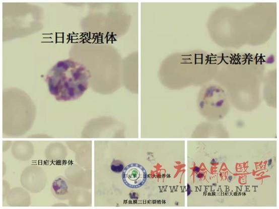 图片10.jpg