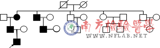 图片8.png