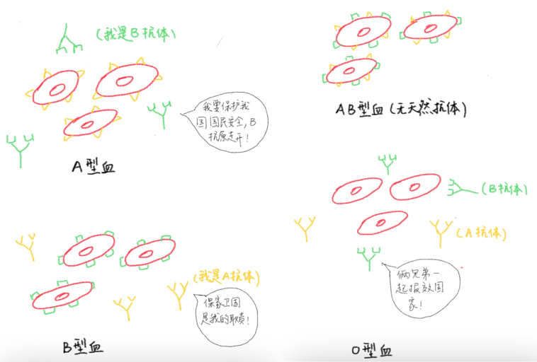 6.png