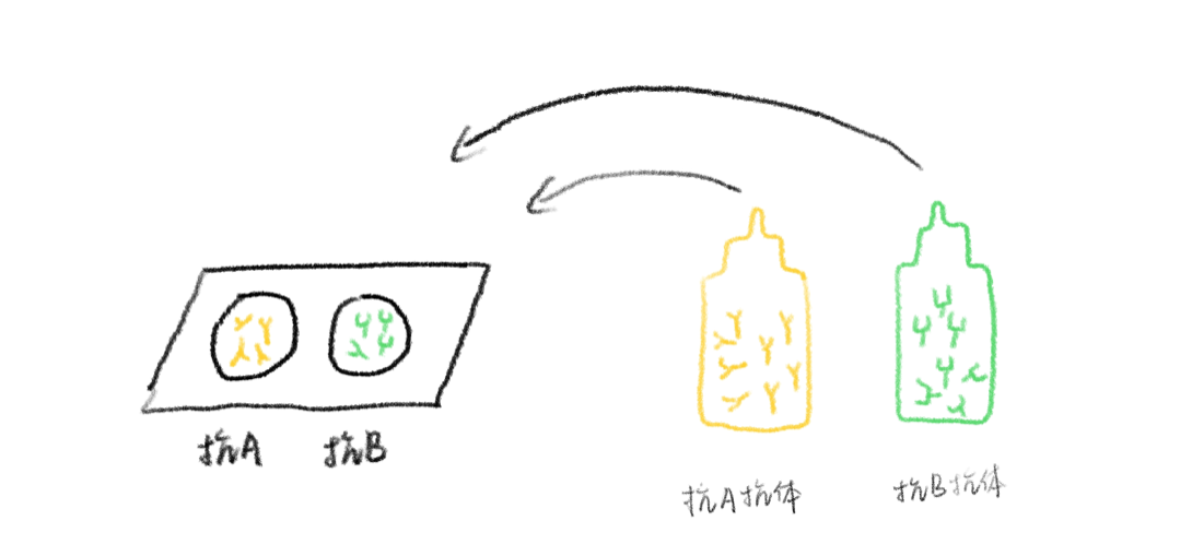 7.png