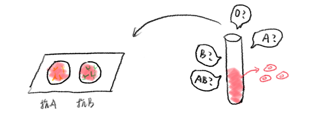 8.png