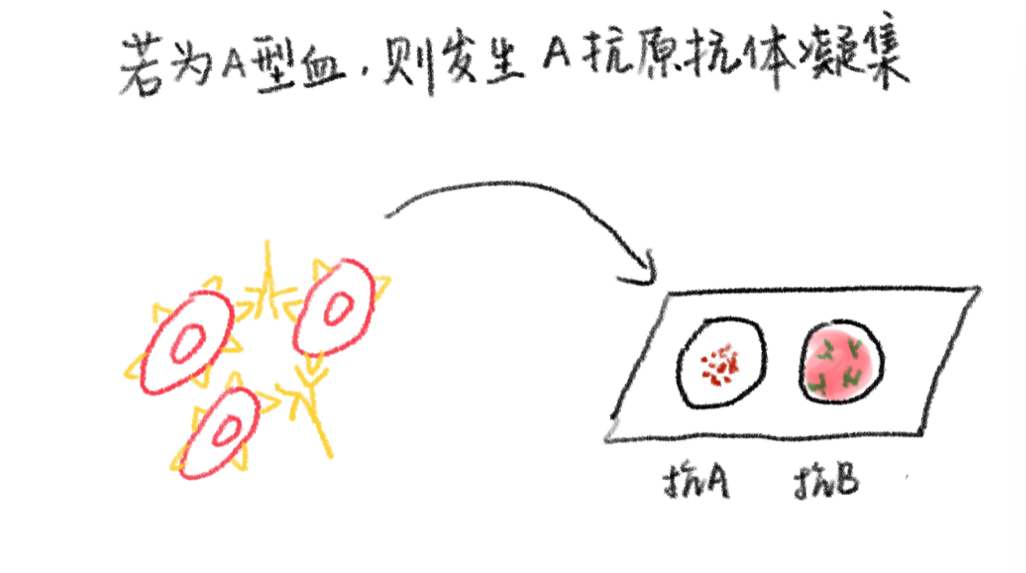 9.png