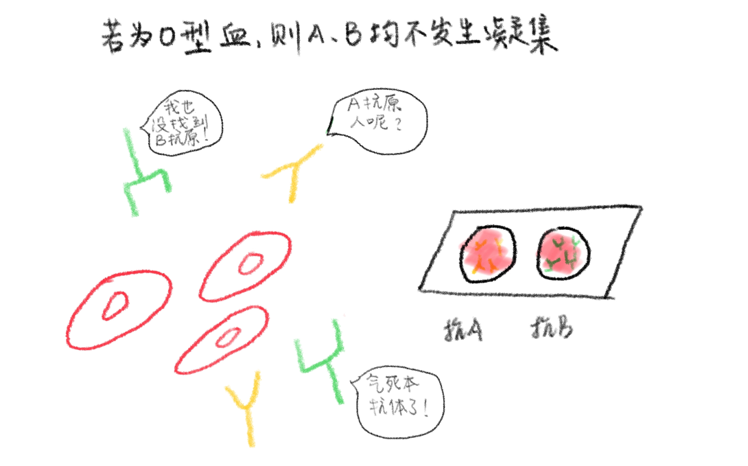 12.png