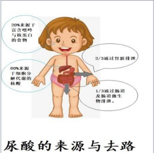 图32.png