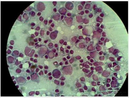 image5.jpg image5.jpg