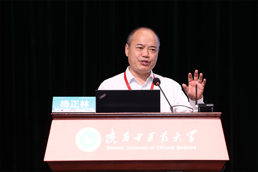 yangzhenglinnet.jpg